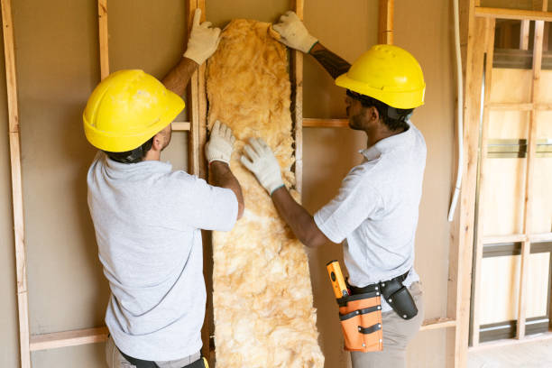 Best Insulation Removal Services  in USA